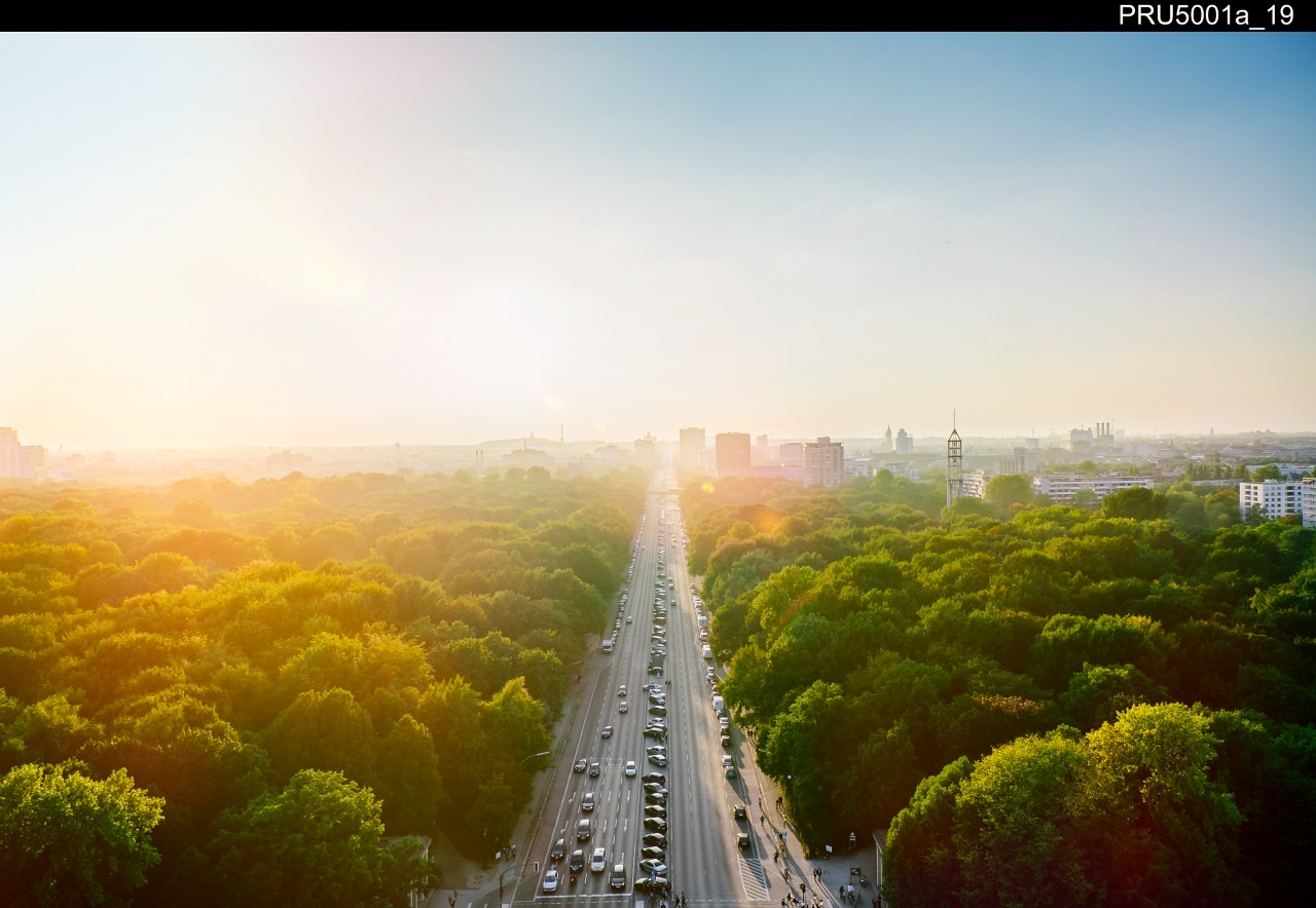 Long street in a green city